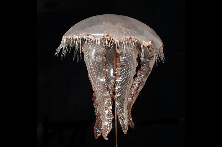 A light grey, translucent glass model of a moon jellyfish.