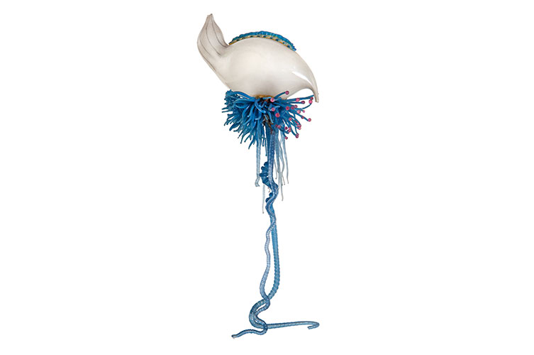 A glass model of a Portuguese man o' war, a species that superficially resembles a jellyfish.