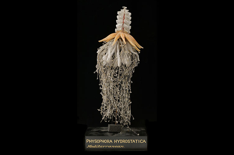 A glass model of a jellyfish-like animal. A tower of translucent grey cylinders sit atop a skirt of orange and white tentacles. Hanging from the base is a tangled web of glass strands.