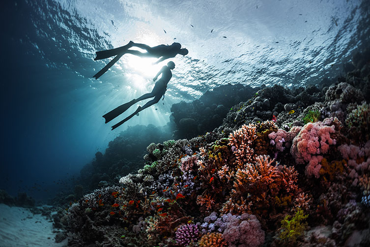 A diver silhouetted by sunlight