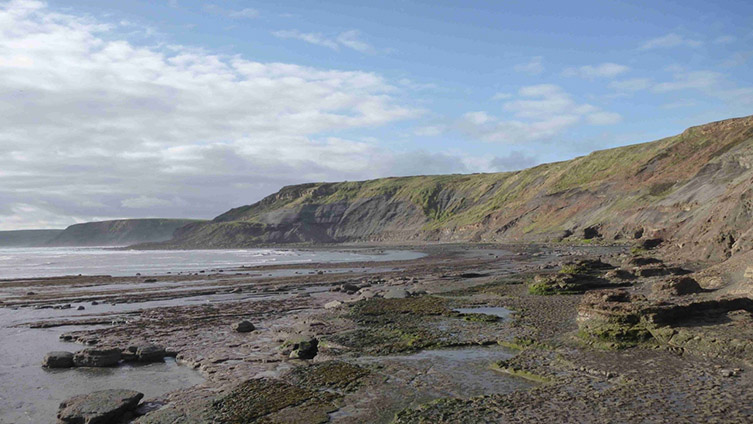 Coastal cliffs