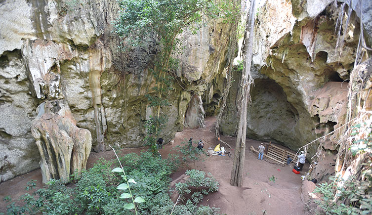 A view of the cave showing a partially open-air section with green vegetation in the middle surrounded by tall, overhanding cliffs. 
