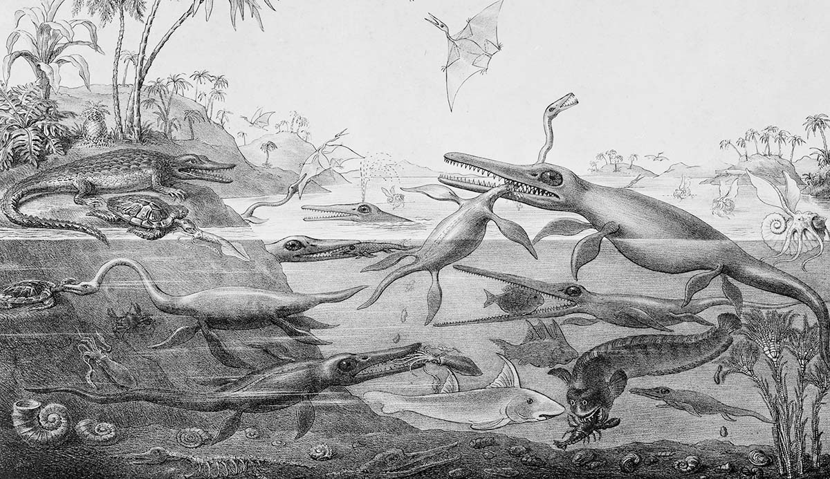 A nineteenth century drawing of ichthyosaurs and plesiosaurs in a prehistoric environment.