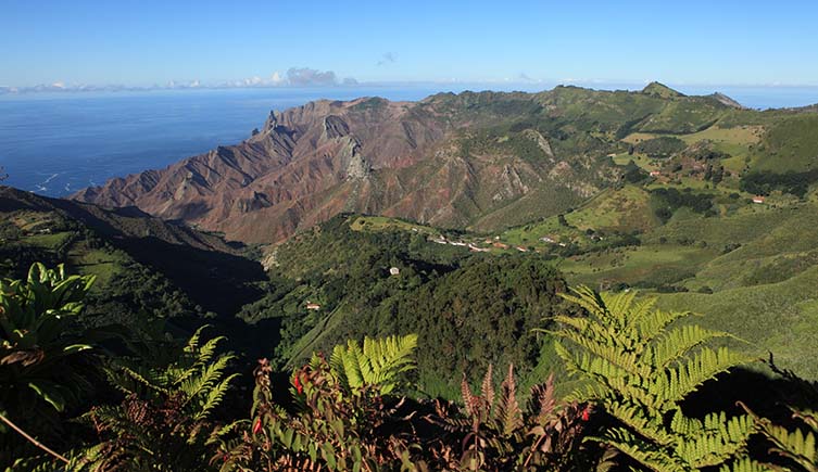 A view of rocky slopes and tree-covered hills from a mountain in St Helena.