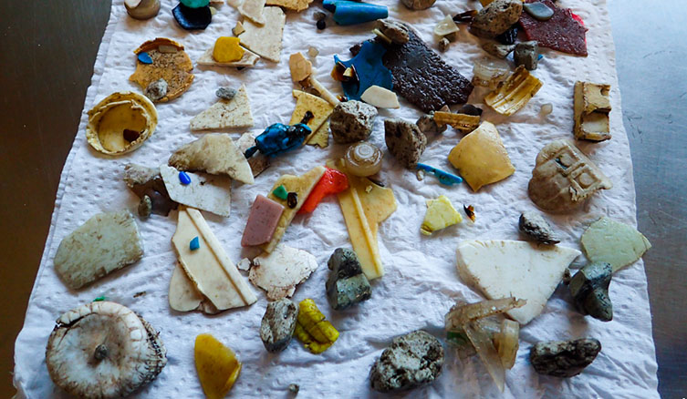 An array for mulit-cloured plastic pieces laid out on a piece of white paper towel. 