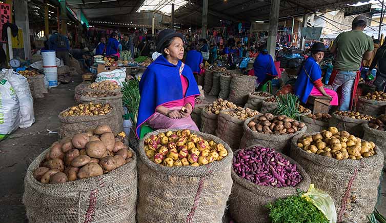 A woman in traditional Colombian dress sells a huge range of potatoes of different colours at a market. 