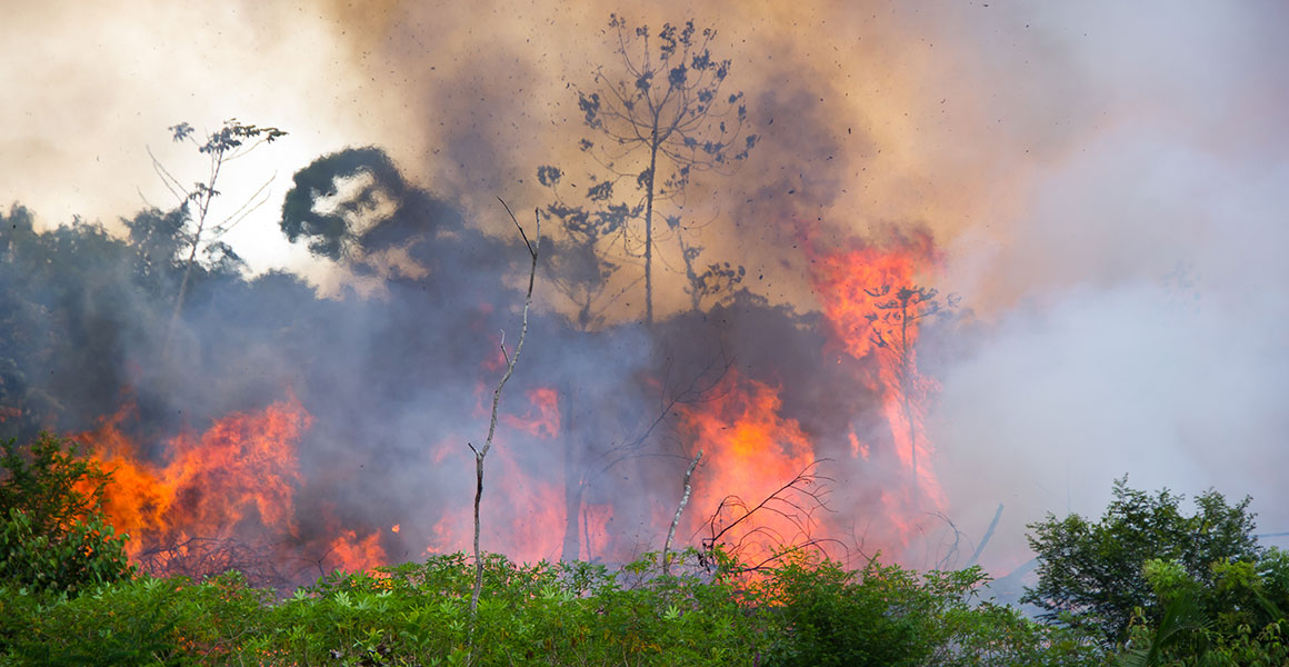A fire rages through an area of the Amazon