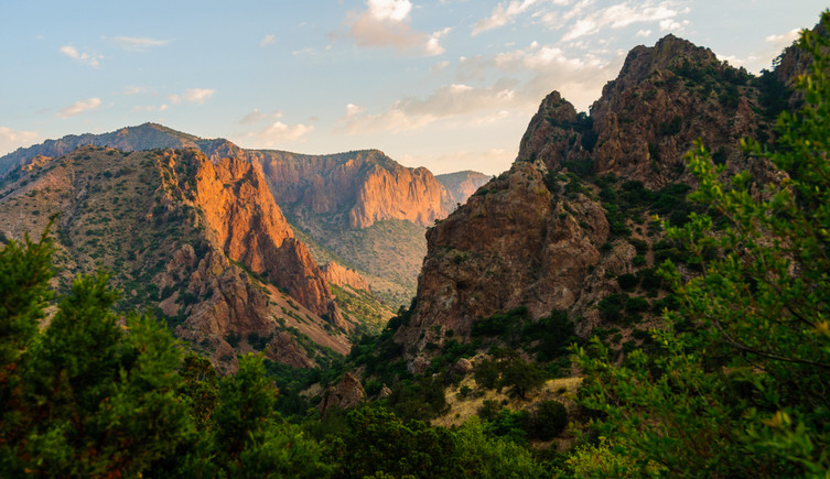 The sun-dappled canyons of Big Bend National Park