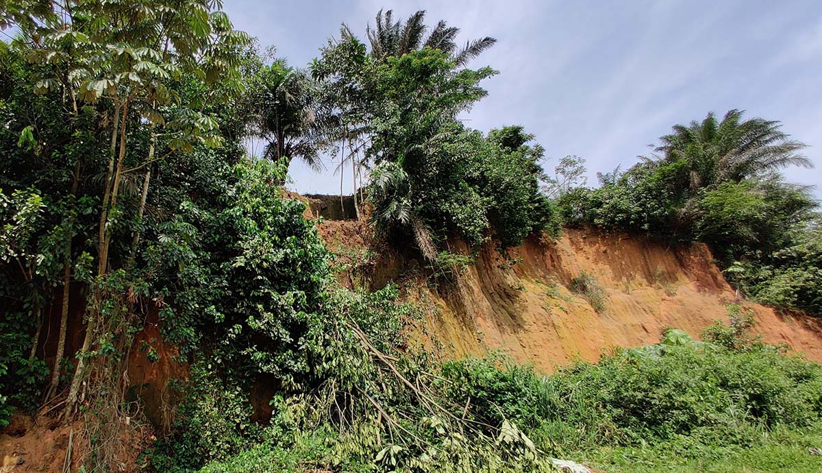 Trees and shrubs grow on the sides of an ochre-coloured incline.
