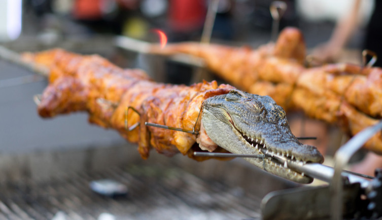 A crocodile being roasted on a spit