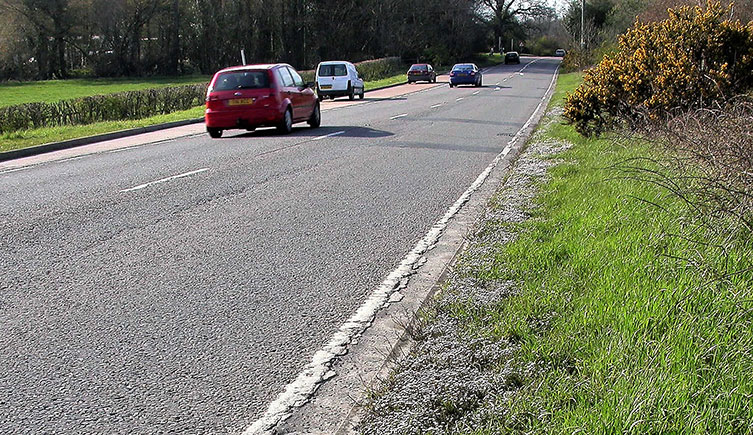 A busy road with the white flowers of Danish scurvy-grass visible at the edge of the verge