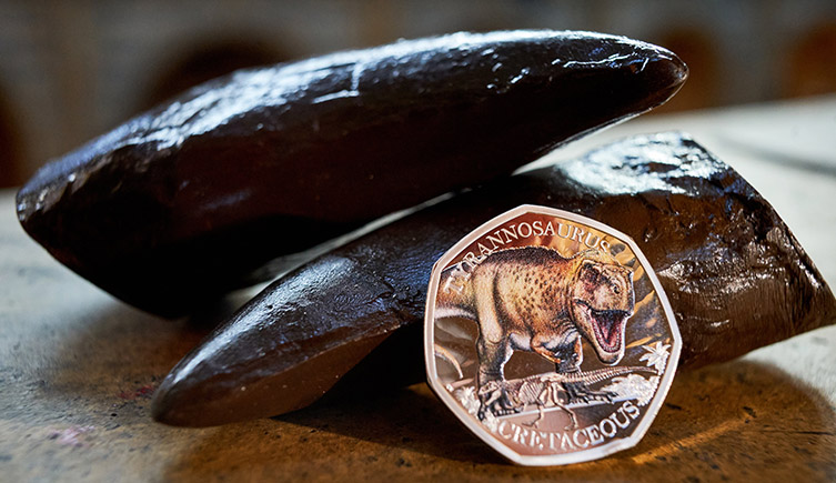 The new 50p coin featurign a T. rex proped up against two replica T. rex teeth. 