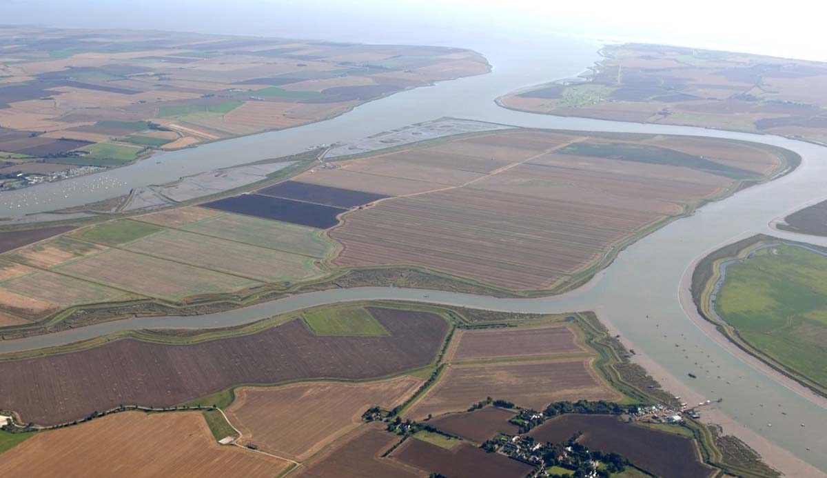 An aerial photograph of Wallasea Island taken in 2012 showing the island divided into brown rectangular fields.