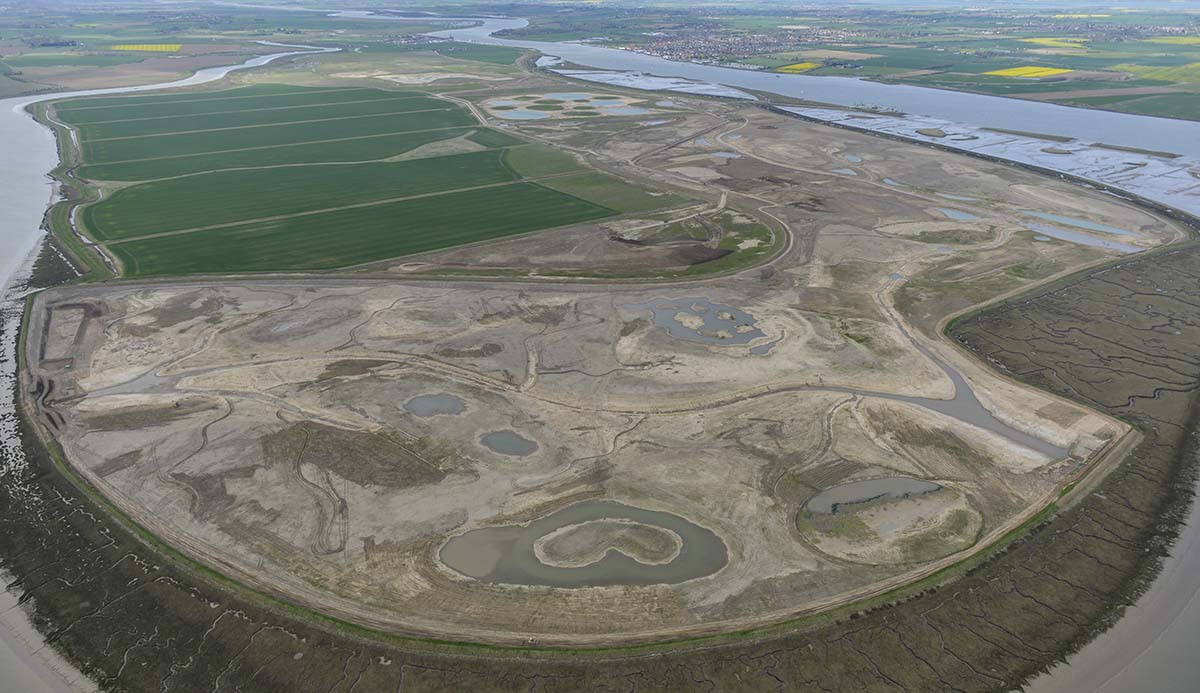 An aerial photo taken during the creation of Jubilee Marsh, with large areas of exposed mud.