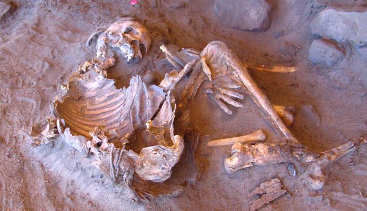 A 7,000-year-old skeleton lies in a foetal position on a rocky floor.