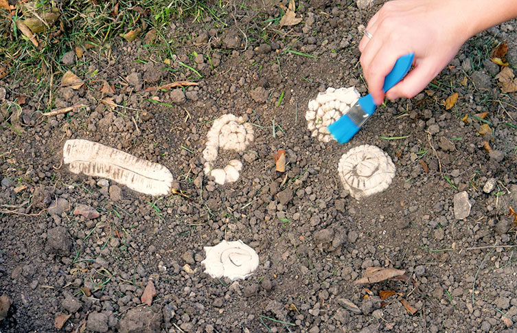 Five salt dough ammonites buried in the soil outdoors. A paintbrush is being used to brush away dirt to uncover one of the ammonites. 