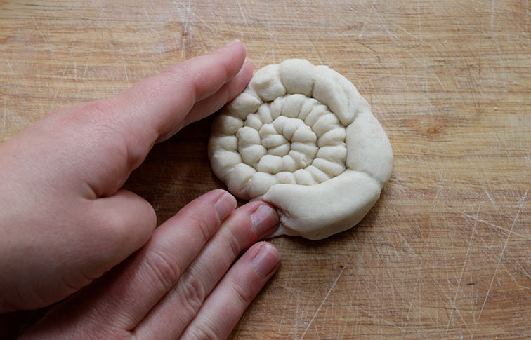 A rolled up, raw salt dough ammonite