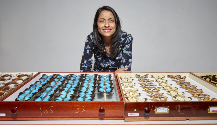 Blanca Huertas poses by trays of pinned butterflies.