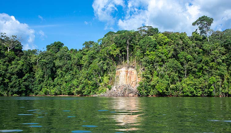 Trees cover the high banks of the Tapajós river beneath blue skies.