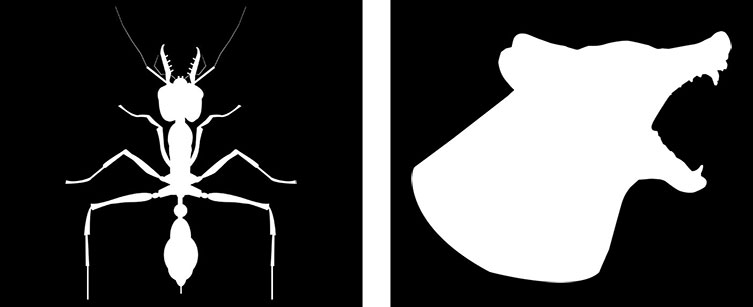 Silhouette of a bulldog ant next to a silhouette of a dog with open jaws and menacing teeth