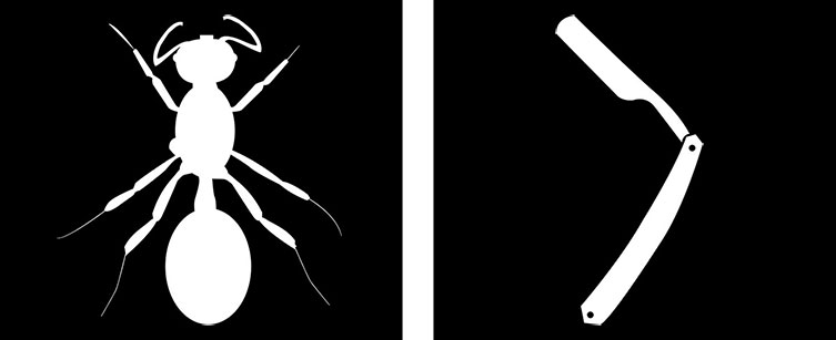 Silhouette of a large tropical black ant next to a silhouette of an opened cutthroat razor