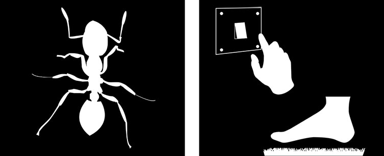 Silhouette of a red fire ant next to a silhouette of a hand reaching for a light switch and a foot stepping onto a shag carpet, representing the pain its sting causes