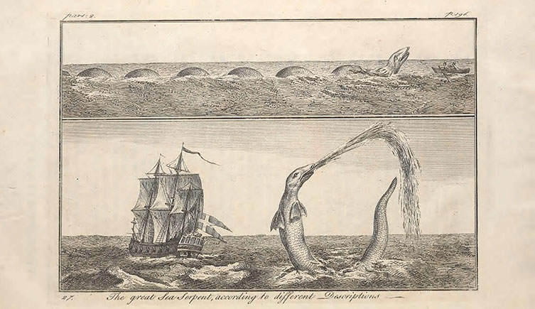 Illustrations of sea serpents