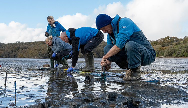Conservationists planting seagrass