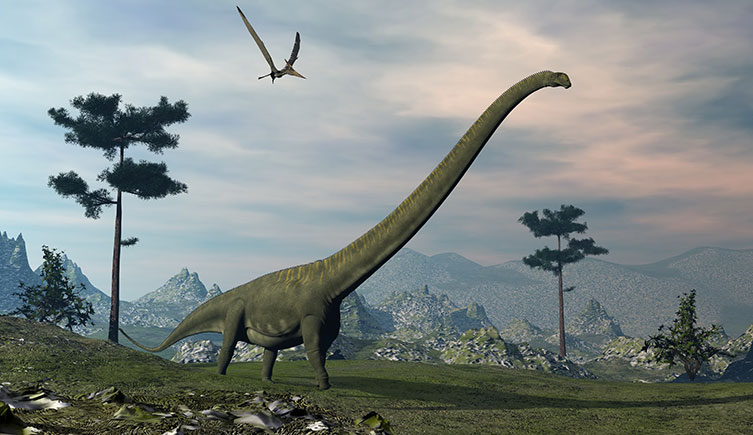 Artist's impression of Mamenchisaurus