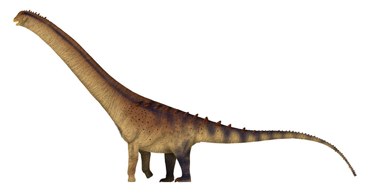 Artist's impression of the titanosaur Patagotitan