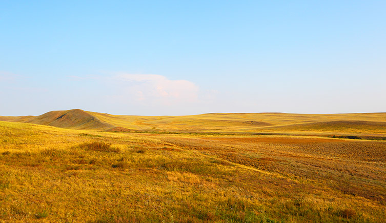 Open grasslands with a blue sky. Weighing up to 3.5 tonnes, Elasmotherium lived on the Eurasian grasslands ranging from southwestern Russia and Ukraine to Kazakhstan and Siberia.
