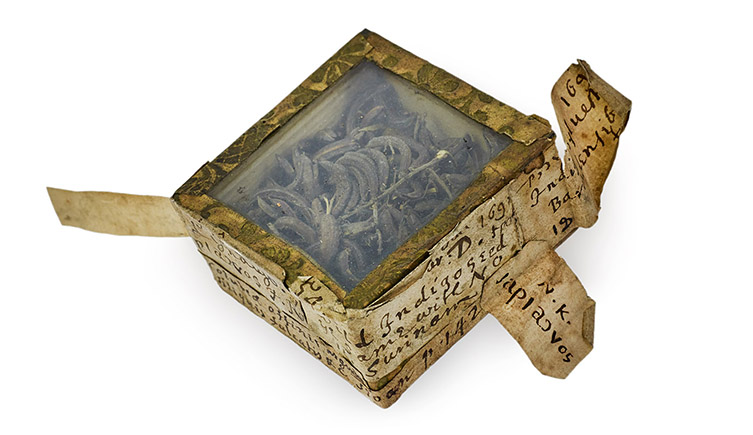 One of the small boxes from the Vegetable Substances collection, with a little glass window showing dried plant specimens inside. 