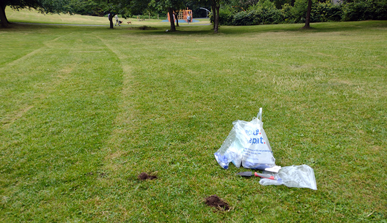 Two holes dug in the lawn with two plastic bags carrying sample jars and equiptment