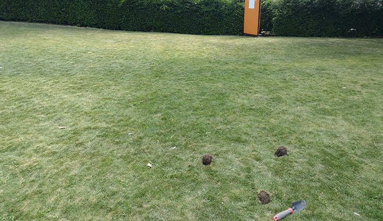 Three small holes dug in a lawn of the Museum of Wales, Cardiff
