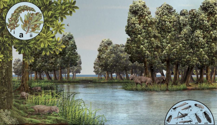 An artist's impression of Onder Karoo in the Permian with trees and water