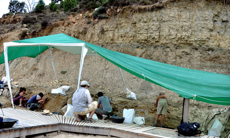 Scientists dig under a green canopy in a quarry at the ANA fossiliferous site. 