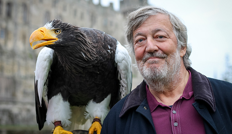Stephen Fry stares at the camera as he holds a large Steller's sea eagle on his arm. 