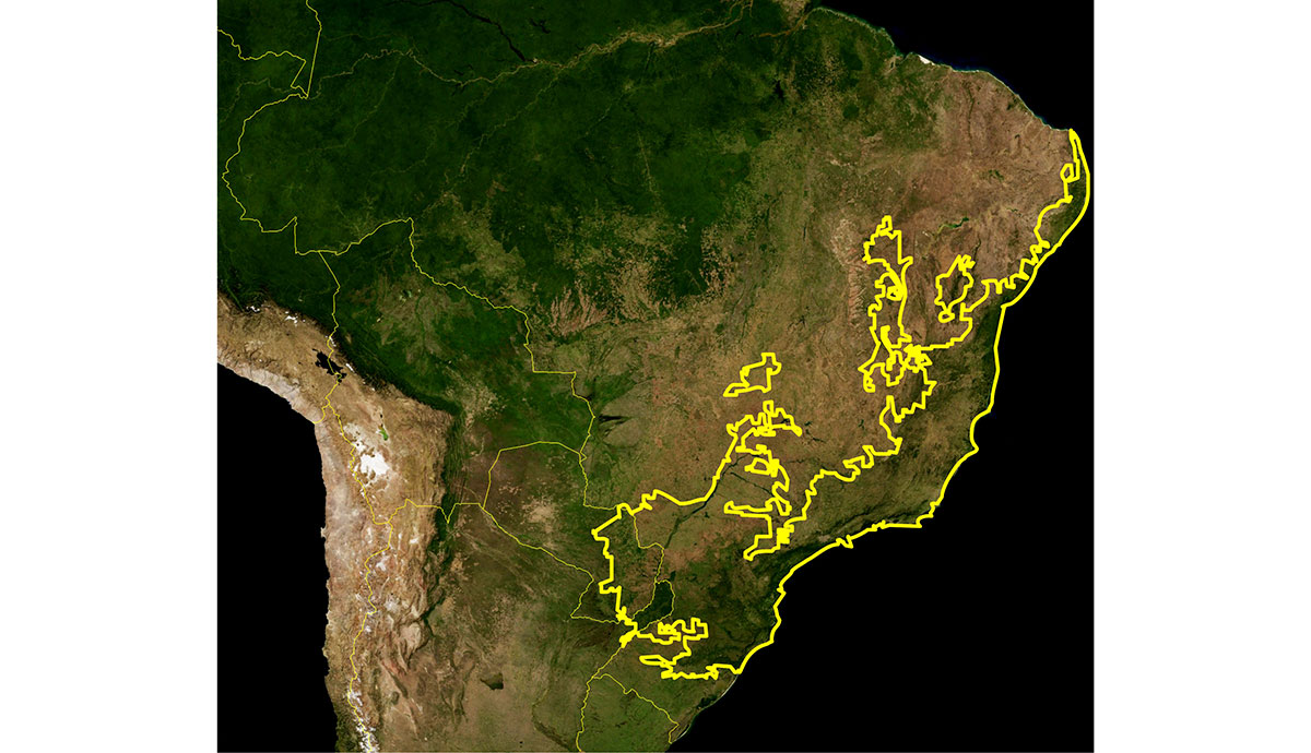 A map of the Atlantic Forest biome in Brazil, Argentina and Uruguay. 