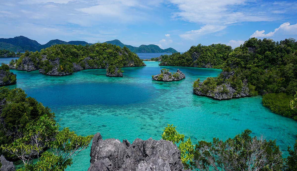 Trees grow around the edges of a coastal lagoon on Sulawesi.
