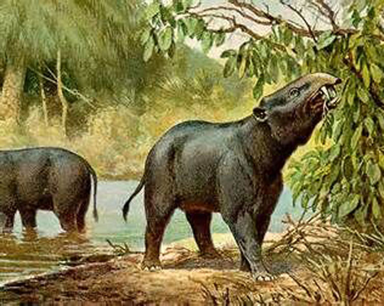 An illustration of an ancient elephant ancestor