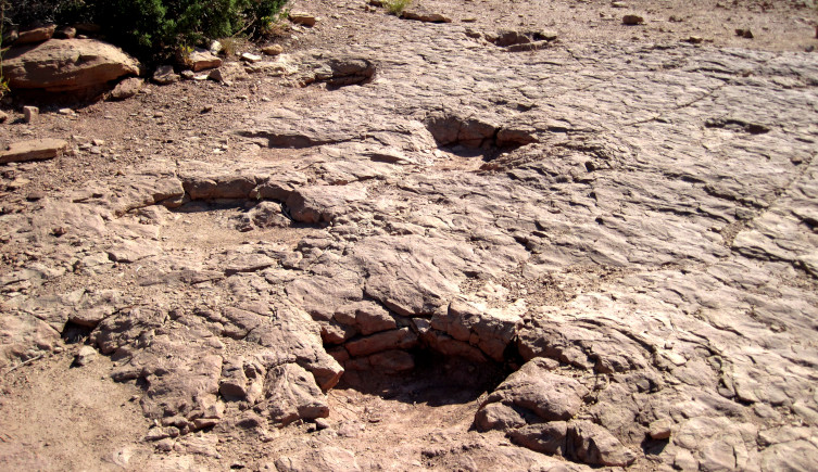 Dinosaur footprints moving away from the camera