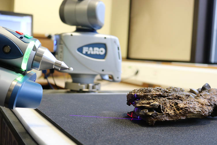 A Toxodon bone being laser scanned