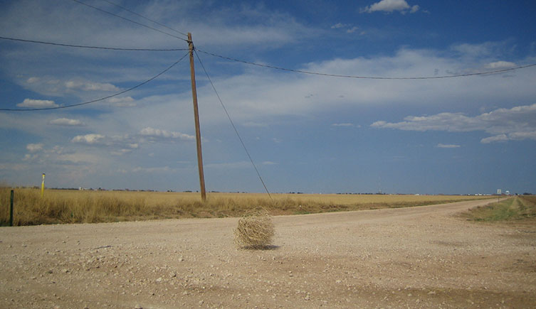 A tumbleweed rolls across a dirt road