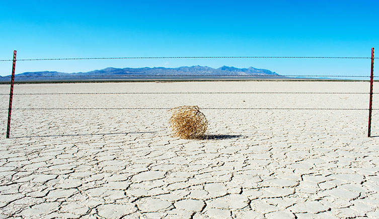 A tumbleweed caught in a fence line