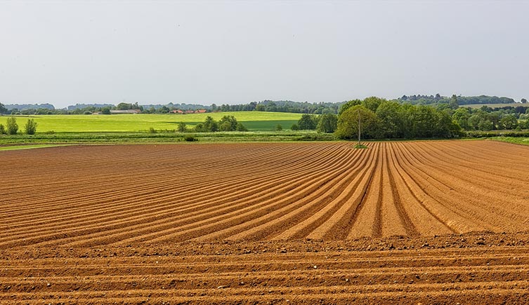 The brown soil of a freshly ploughed field streched into the distance, while a few trees and green hills can be seen on the horizon. 