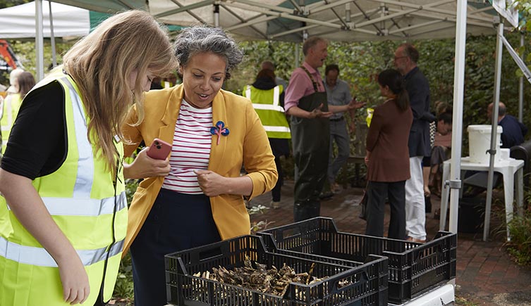 A woman wearing a yellow jacket over a red and white stripey top and another woman wearing a high-vis jacket are leaning over two trays containing lily root. 