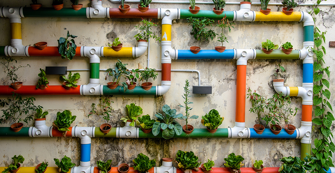 Plants grow in colourful pots on a city wall