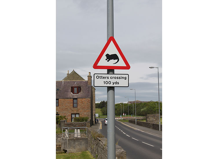 An 'otters crossing' sign next to a road