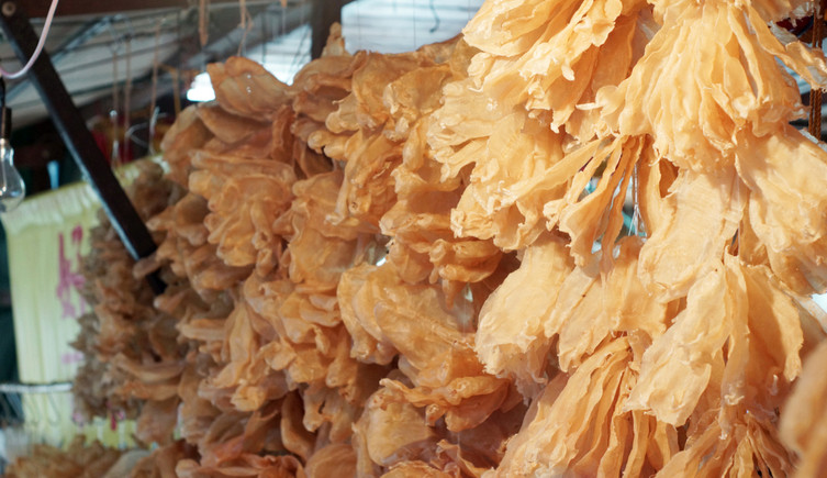 Fish maw, or swim bladders, hung from the roof of a market
