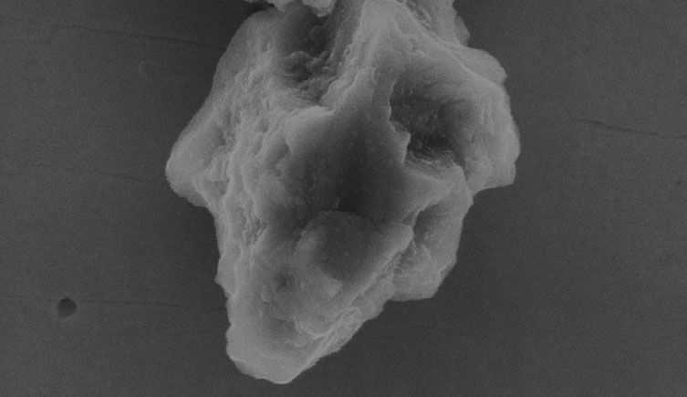 A microscope image of a grain of stardust